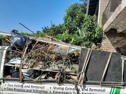 Best Demolition Debris Removal  in Albany, OR