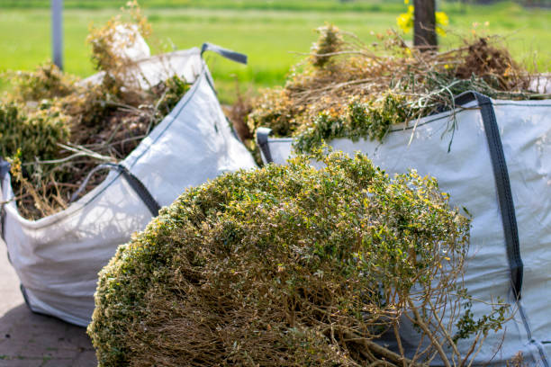 Best Moving and Downsizing Cleanouts  in Albany, OR